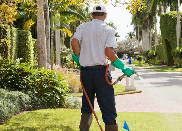 About Sharon SC Pest Control Pros